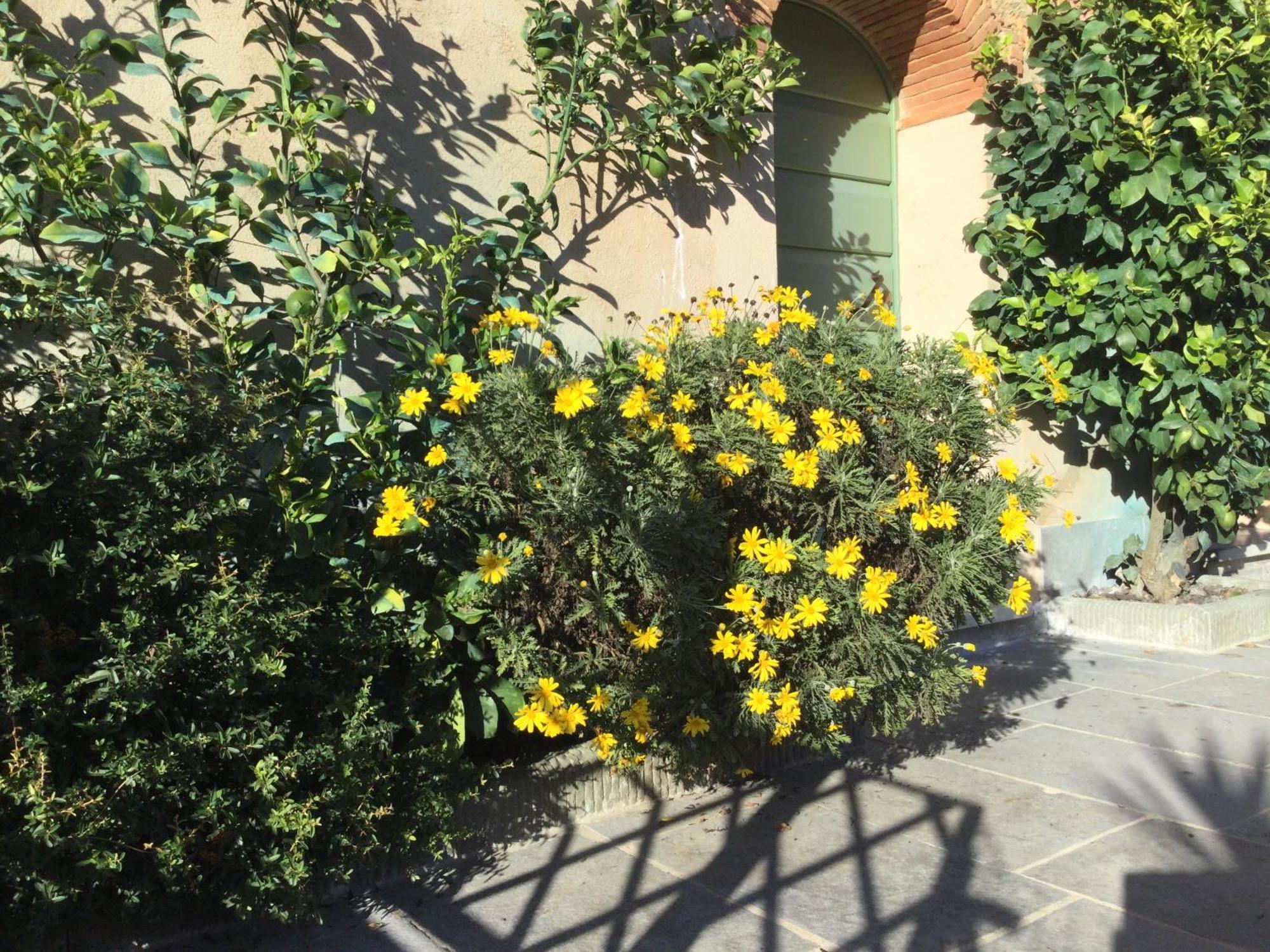 Casa Mita Con Pacchetto Mare Incluso Villa Camaiore Bagian luar foto