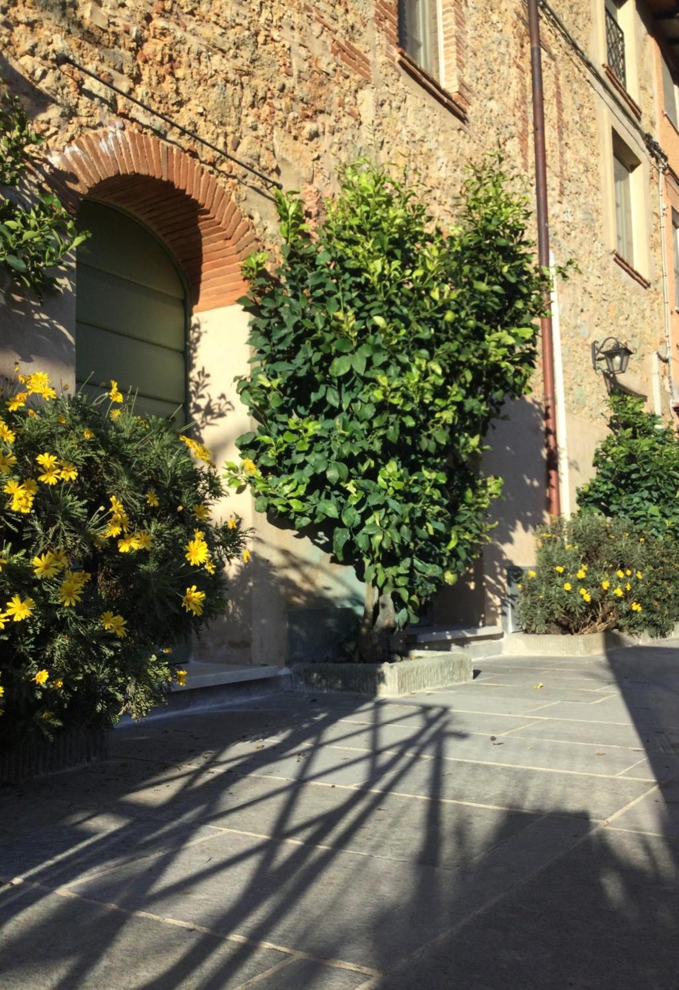 Casa Mita Con Pacchetto Mare Incluso Villa Camaiore Bagian luar foto